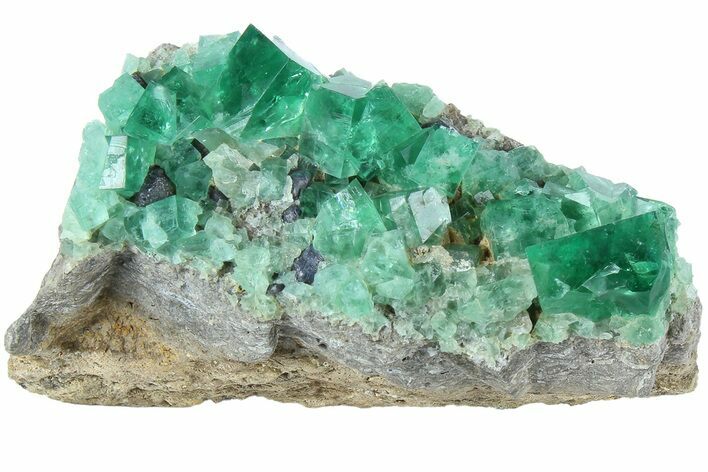 Fluorescent Green Fluorite Cluster - Rogerley Mine, England #184606